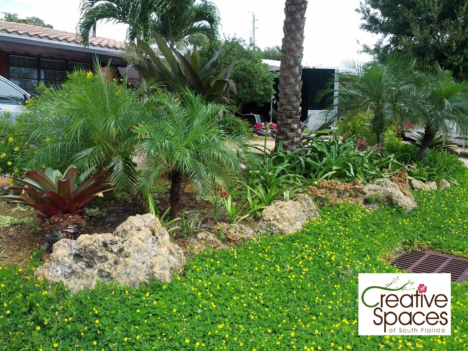 Gardening South Florida Style Ground Covers South Florida Style v.II