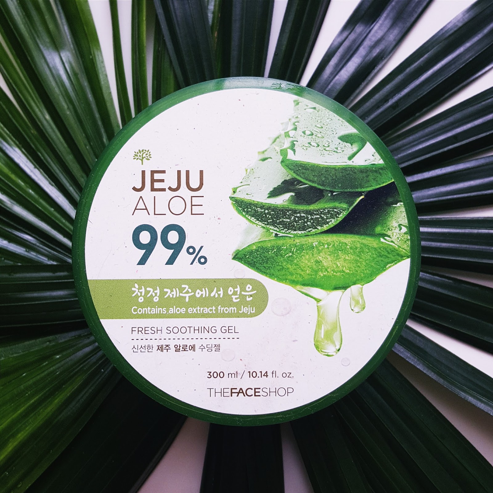 The Face Shop Jeju Aloe 99 Fresh Soothing Gel Review FISHMEATDIE