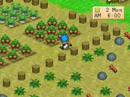 tipe tanaman dan siklus pertumbuhannya dalam harvest moon back to nature psx