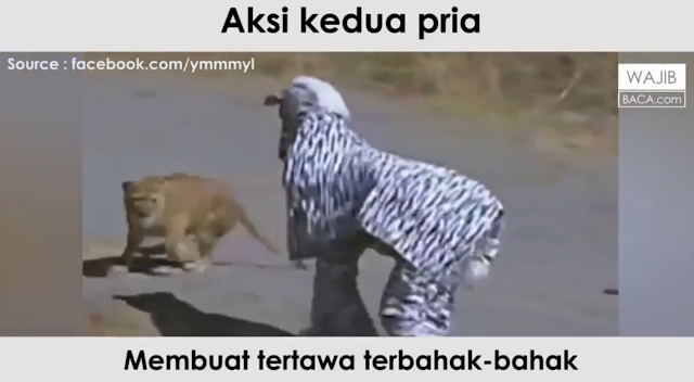 Asli Ngakak! Beginilah Aksi Konyol Dua Orang Berkostum Zebra yang Jadi Buruan Singa Asli Ngakak! Beginilah Aksi Konyol Dua Orang Berkostum Zebra yang Jadi Buruan Singa