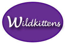 Visit my WildKittens shop:
