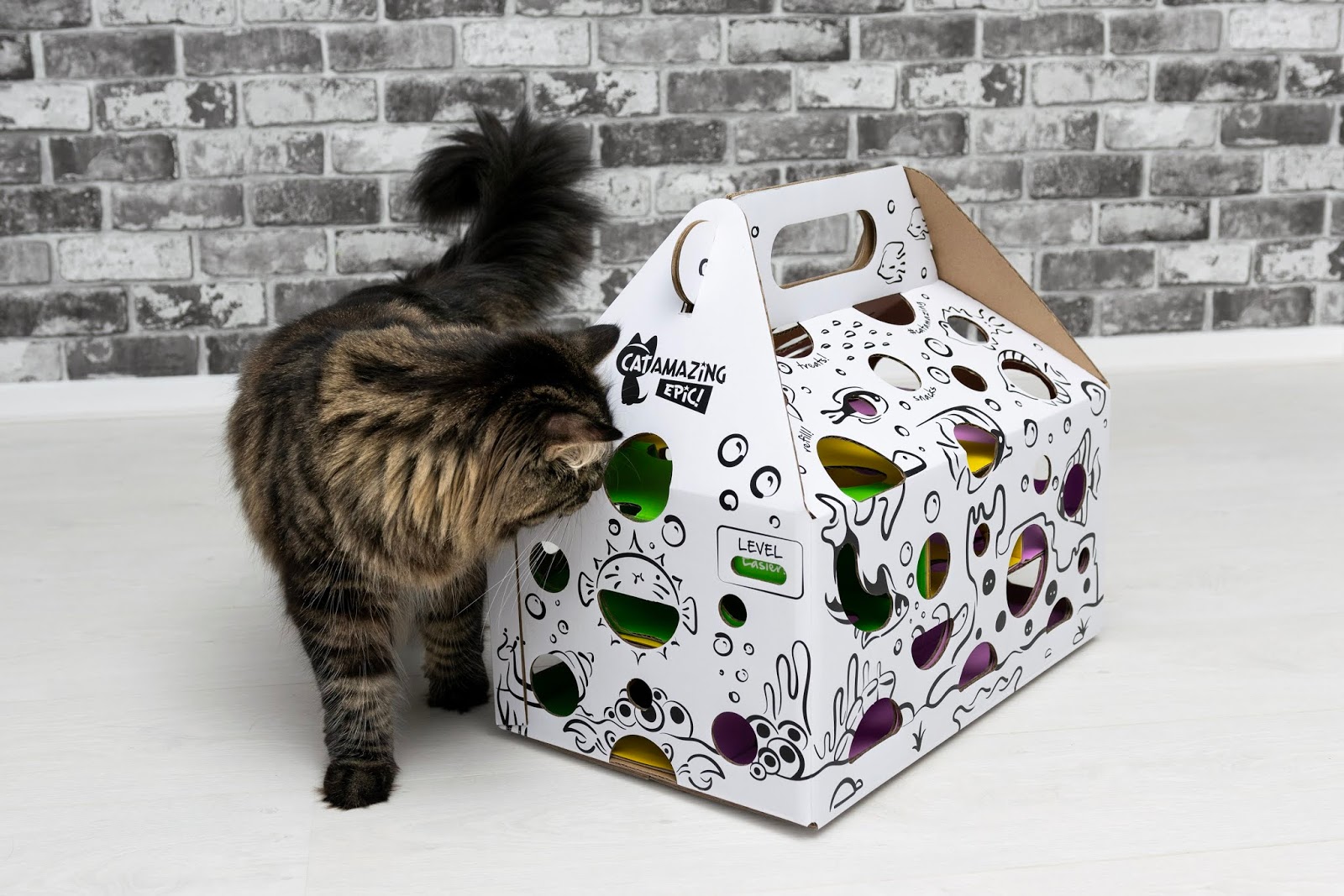 Cat and DOG Chat With Caren The Cat Amazing EPIC! the Ultimate Puzzle