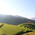 Mu Cang Chai beautiful surprise in the middle of the golden season to hold all visitors