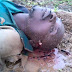 Herdsmen attack : Death toll in Logo, Benue State hits 59 (GRAPHIC PHOTOS)