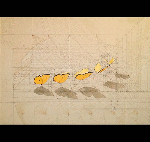 04-Yellow-Butterflies-Artist-Rafael-Calculation-Mathematics-and-Art-CAD-www-designstack-co
