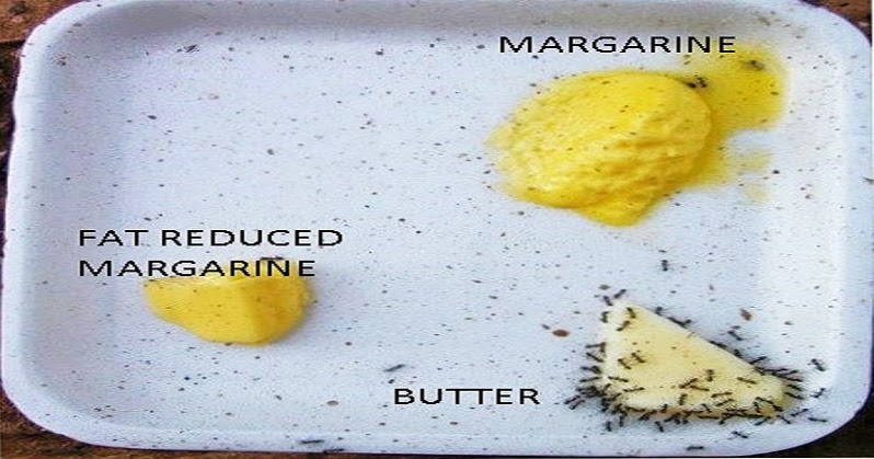 BUTTER IS GOOD FOR YOU. MARGARINE IS NOT !