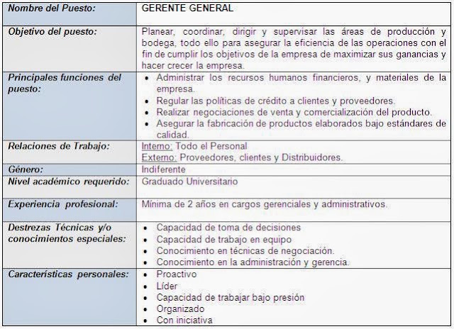 Ejemplo De Perfil De Puesto De Un Gerente General