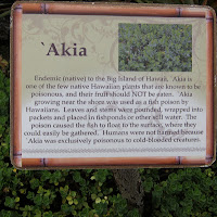 Plant named in Hawaiian