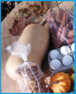 large butternut squash at the edge of my late October farmers market bounty