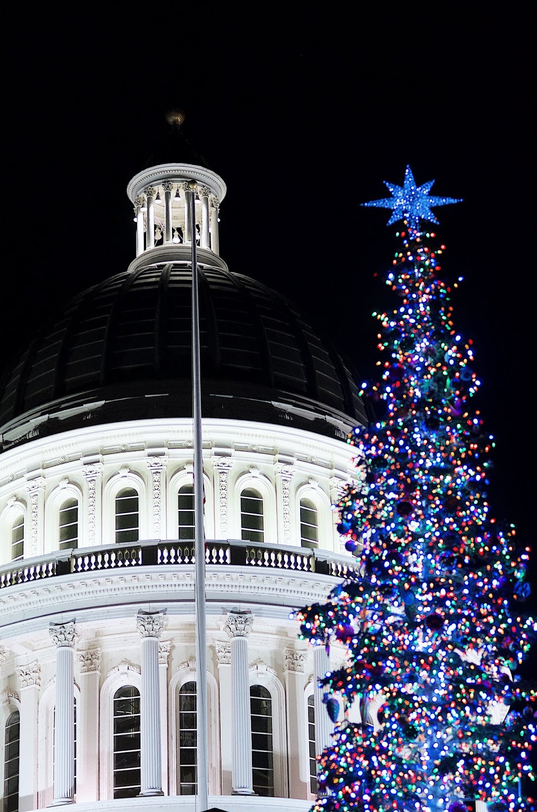 Beginner's Guide to Sacramento Christmas in Sacramento Maddy Eccles
