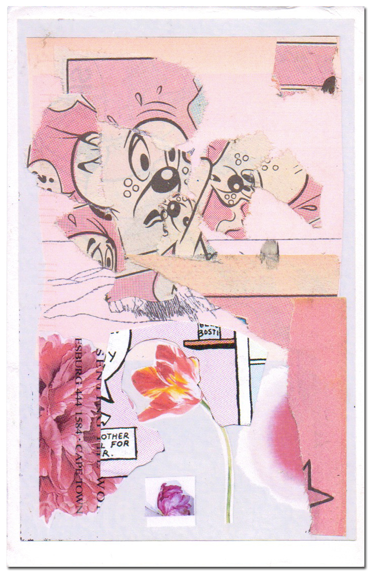 Nora Macphail Artist Perky Pink In Copper Pots