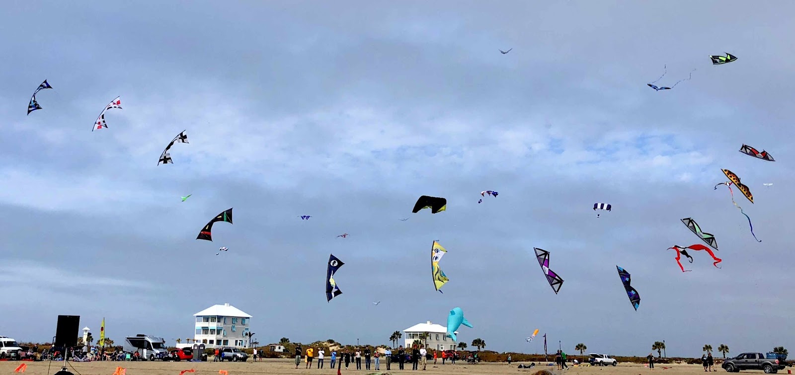 Wandering His Wonders South Padre Island Kite Festival