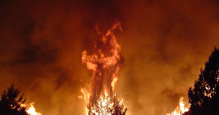 REFLECTIONS FROM THE GRANNY BED 11/28/16The Day The Fire