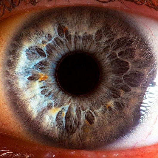 ArtHouse: Extreme Close-Ups of the Human Eye | Spicy Dust