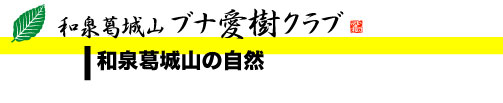 和泉葛城山の自然