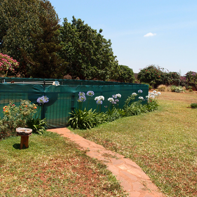 Cheng @ Zambia: First comes food, than comes visial realization.....