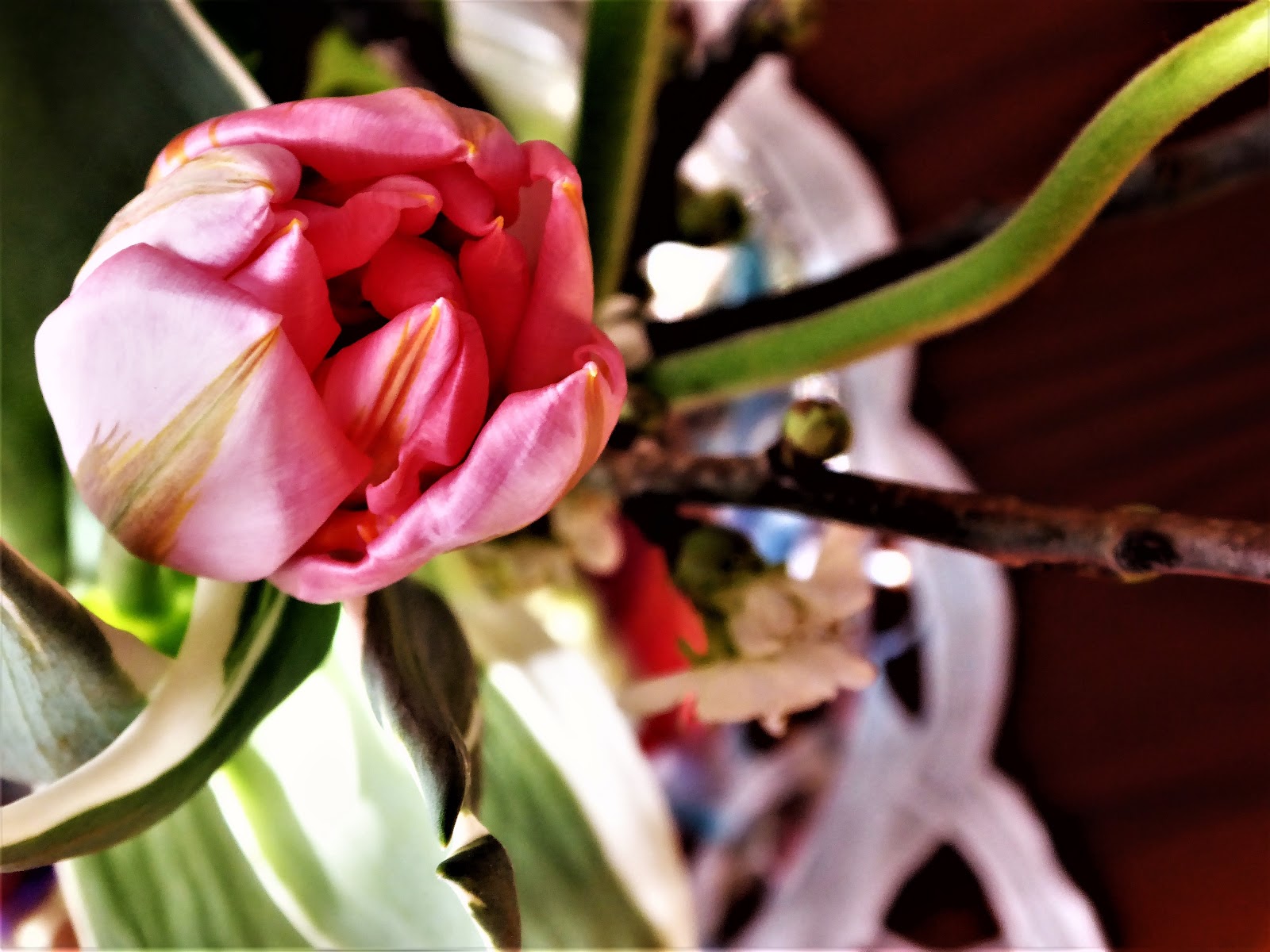 Morgen Ist Alles Anders Der Dichter Der Sehnsucht