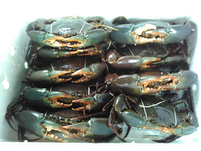 Crab Export Philippines