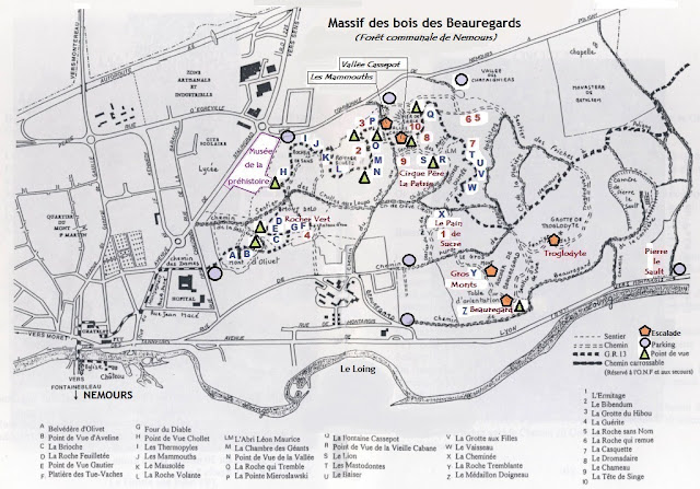 foresta comunale nemours foresta ile de france, parigi