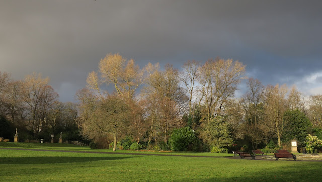 Winter Trees in The Peoples Park Halifax, West Yorkshire