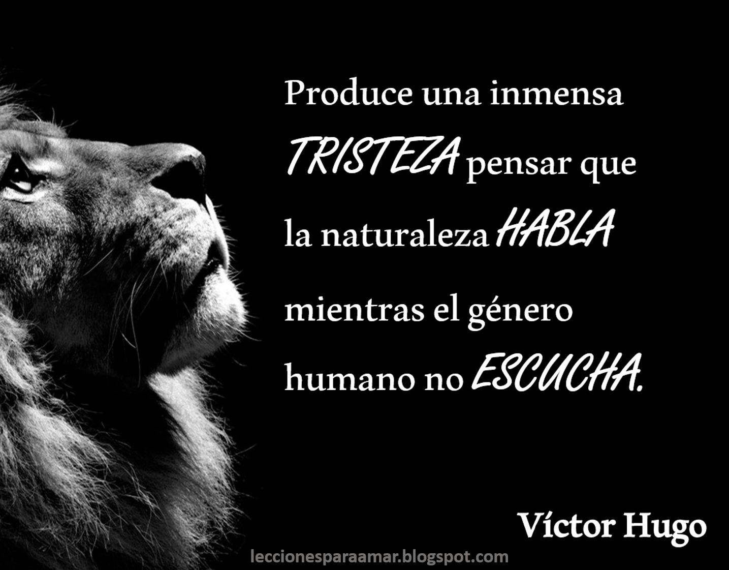 Ver las imágenes de origen