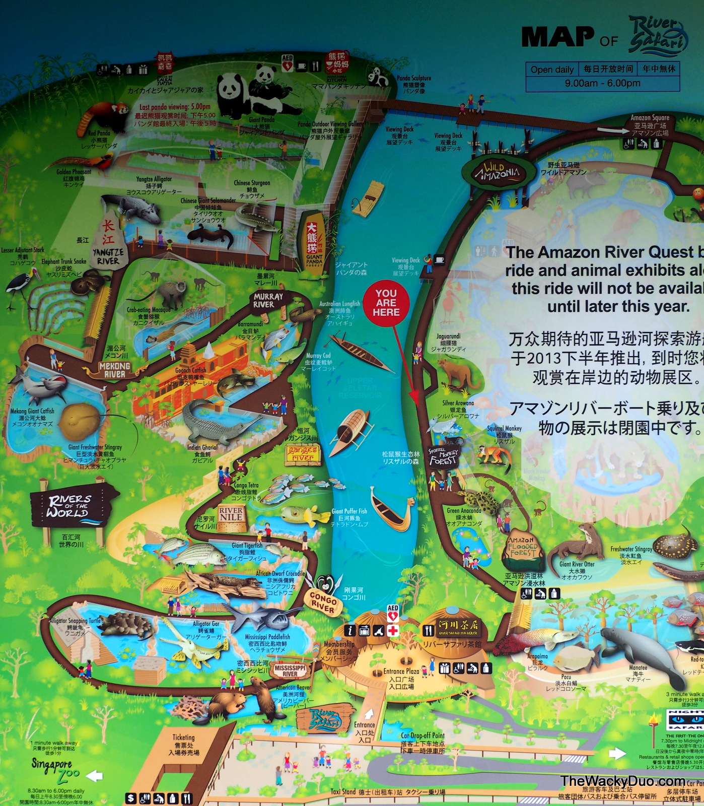 Singapore Night Safari Map River Safari - The River Is Calling | The Wacky Duo | Singapore Family  Lifestyle Travel Website