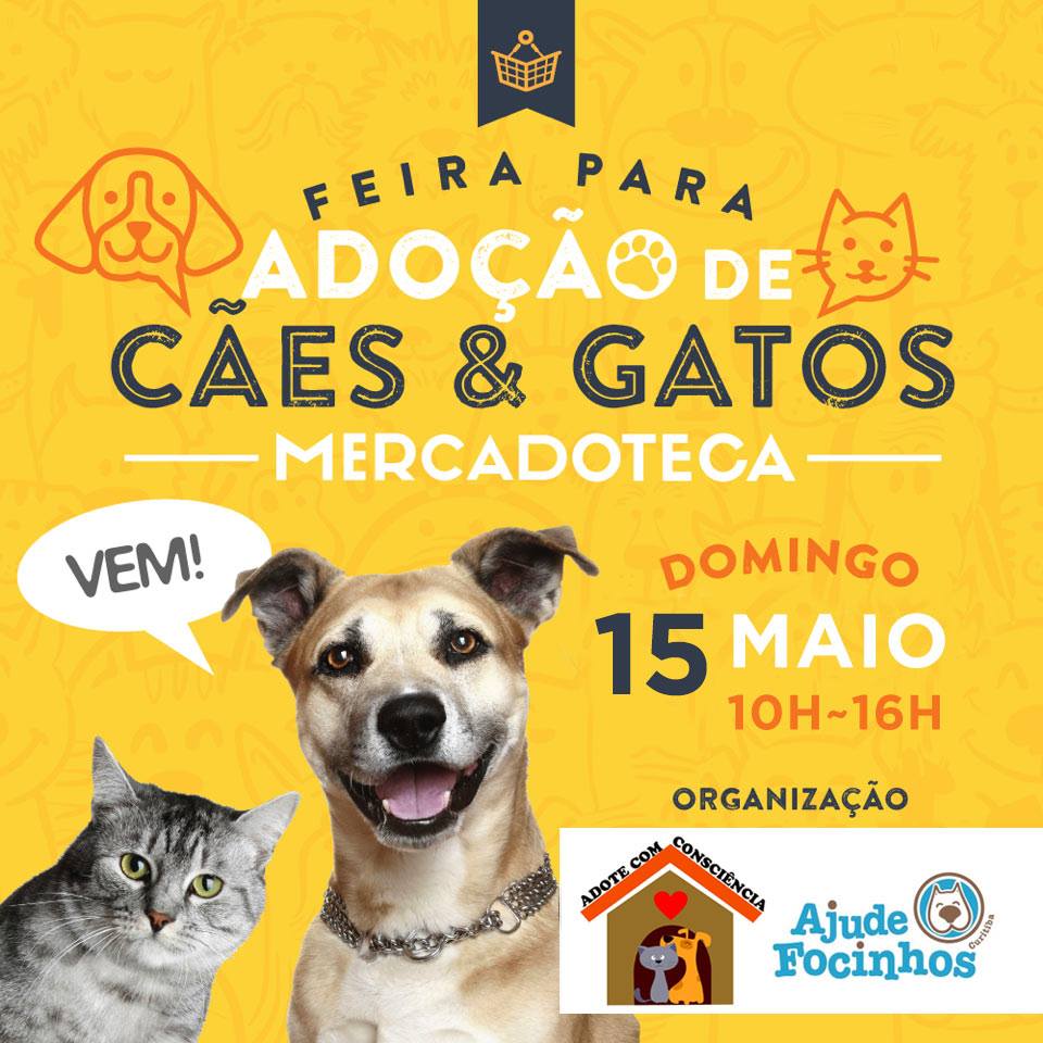 Cartilha de Atividades Maleta Gato Galactico 8 Folhas