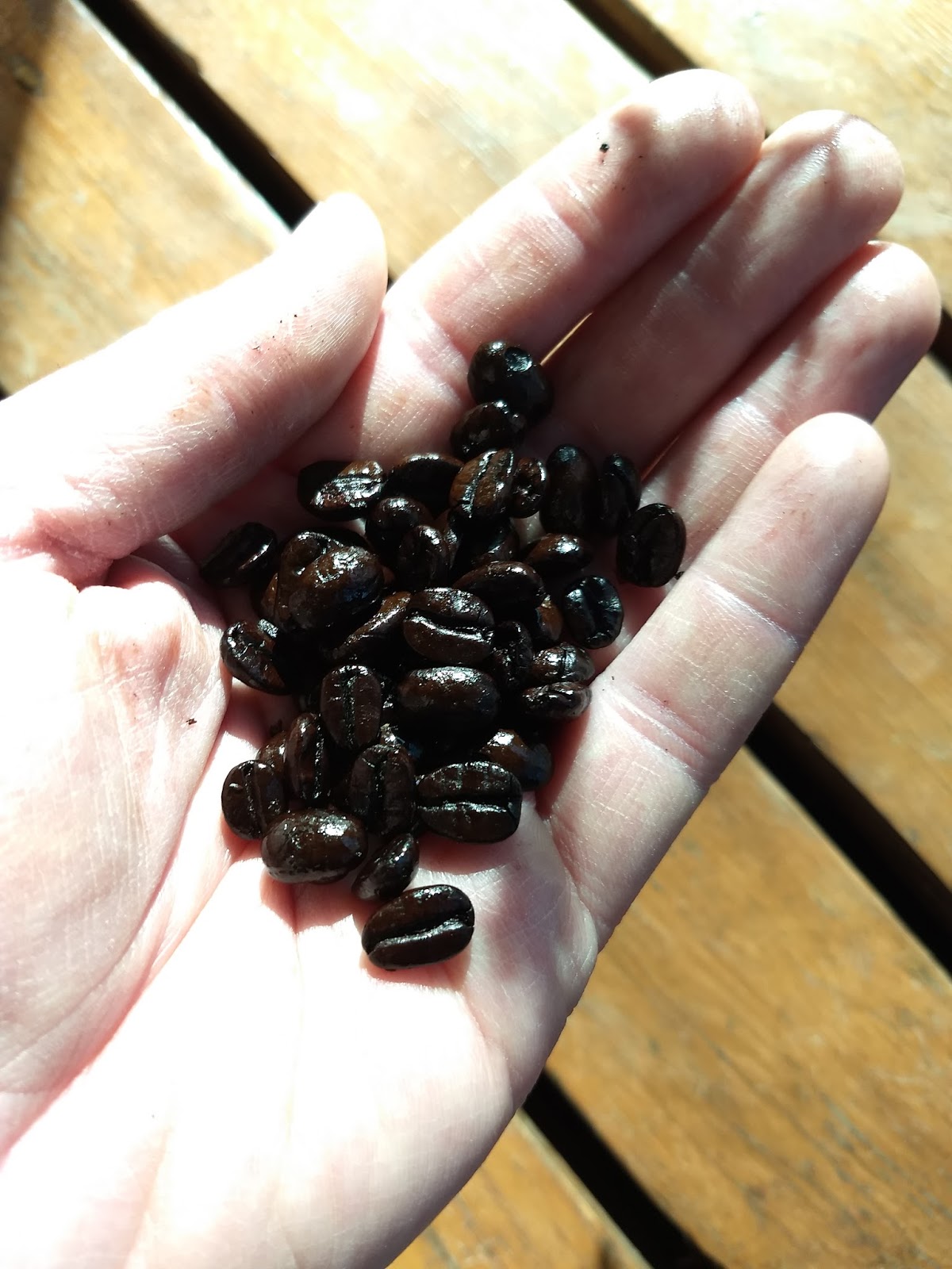 Coffee Maker Journal