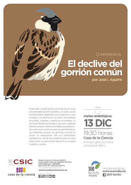 Conferencia: El declive del Gorrión común. Por José L. Aguirre, 13 de Diciembre. Grupo Local SEO-Sevilla.