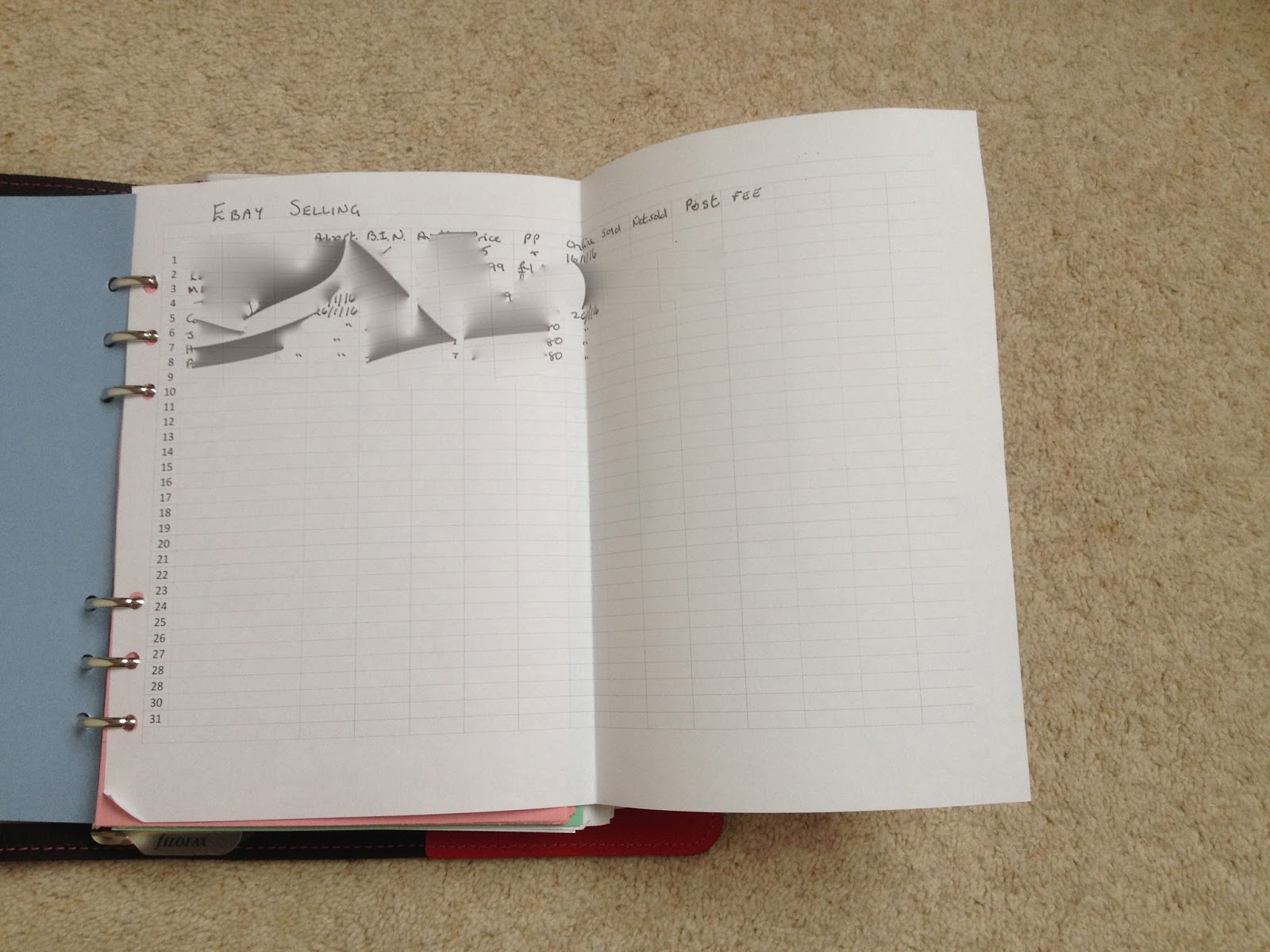 My Filofax Blog: Fuchsia A5 Filofax Original