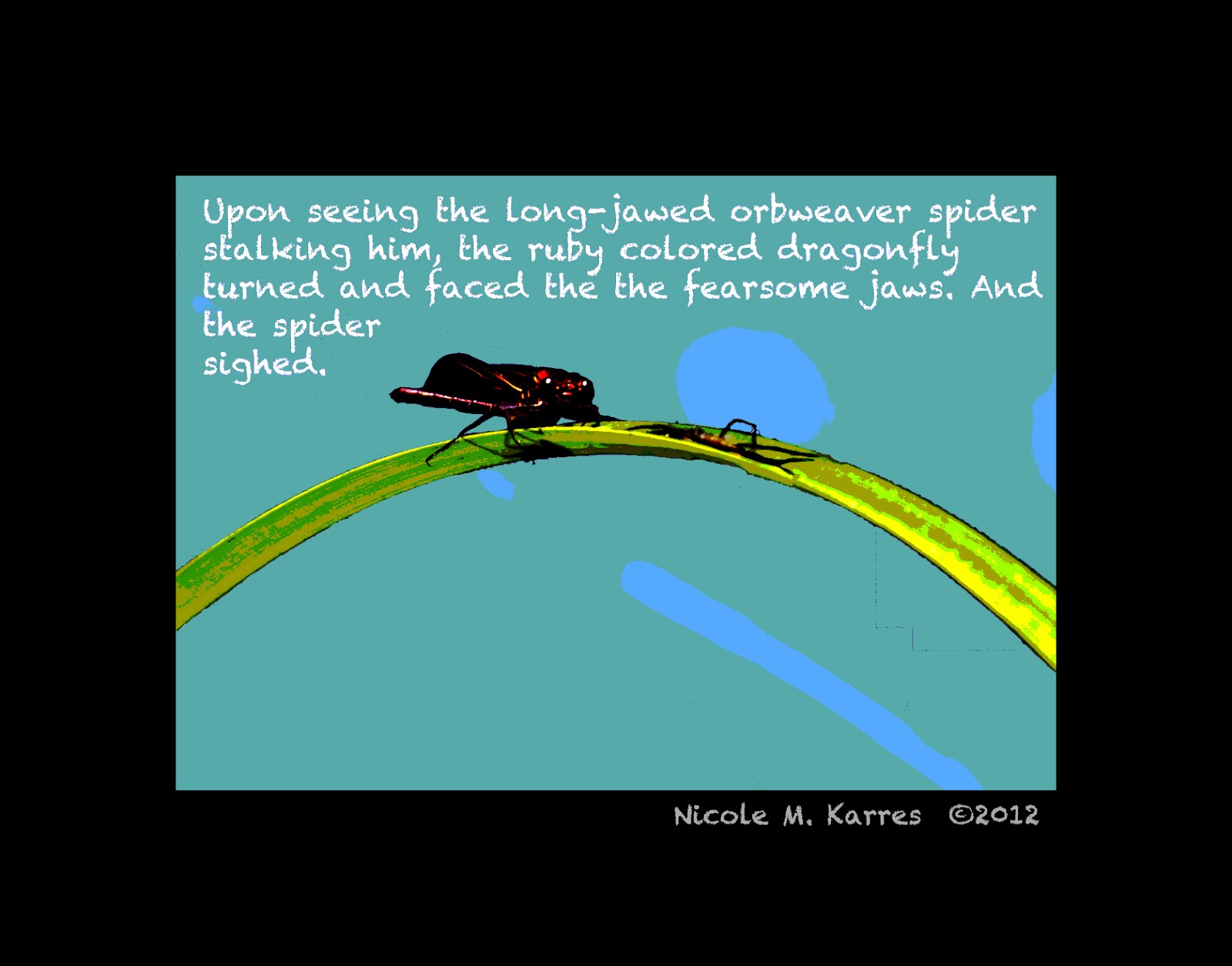 Notes On Urban Ecology The Long Jawed Orb Weaver