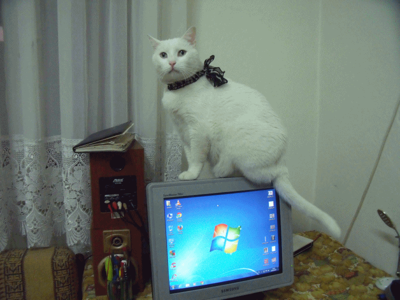 ! örgüçantam KEDİ APLİKELİ HEYBE VE BADEM