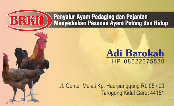 DESAIN KARTU NAMA GRATISAN PENJUAL AYAM PEDAGING DESAIN KARTU NAMA GRATISAN PENJUAL AYAM PEDAGING