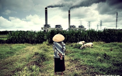 Dampak Pemanasan Global (Global Warming)