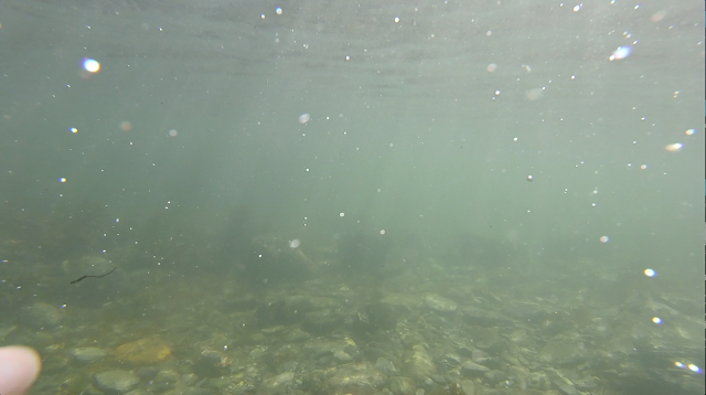 Bubbles with a finger tip/ swimming against the tide 