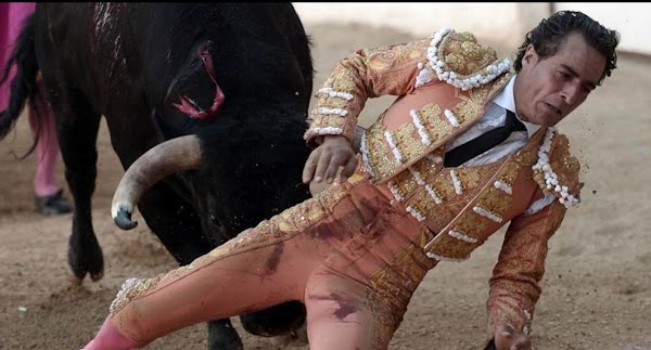 Marchan para que se permitan las peleas de gallos y corridas de toros en Veracruz Marchan para que se permitan las peleas de gallos y corridas de toros en Veracruz