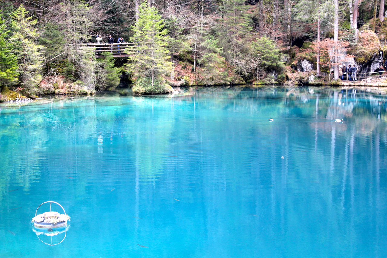 blausee λίμνη εκδρομή ελβετία