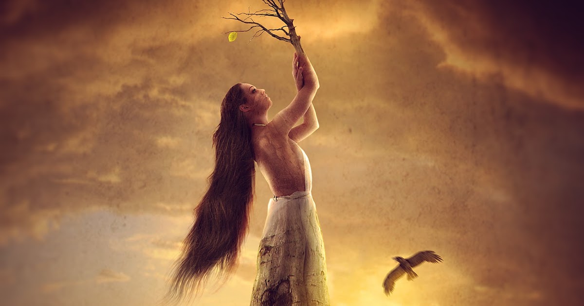 Photo Manipulation Female Of Root rafy A