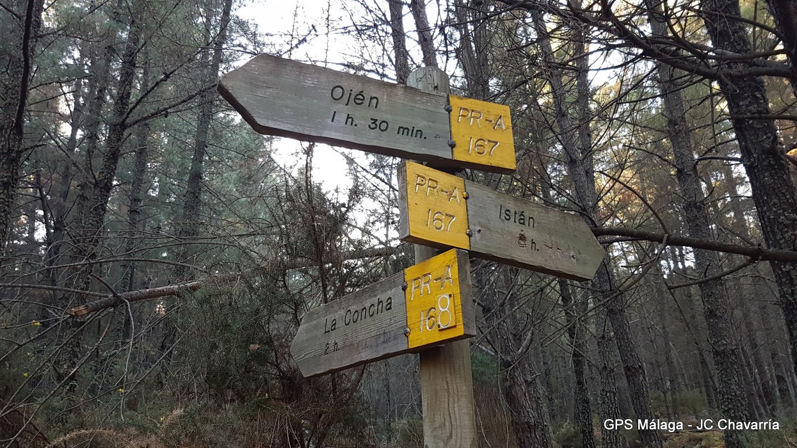 Wikiloc Ruta Circular Juanar Bosque Encantado, Castañas y Miradores