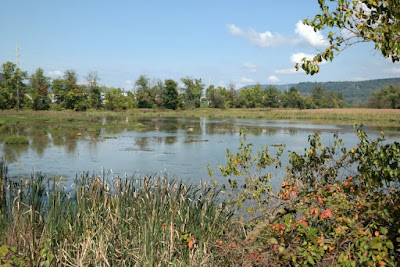 Wildwood Park and Benjamin Olewine Nature Center Harrisburg Pennsylvania