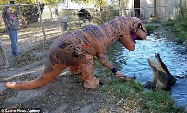 10 hilarious dinosaurs doing everyday things teroes