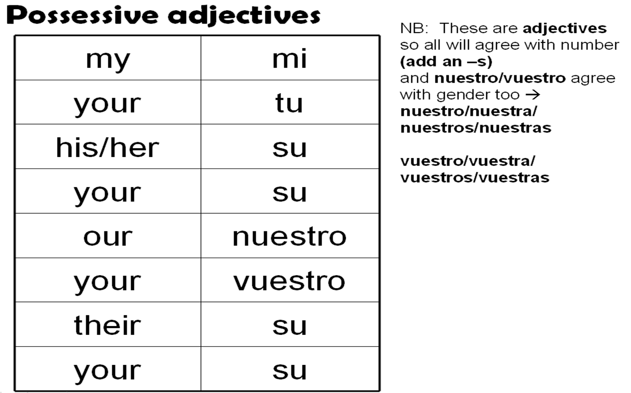 ENGLISH COLSAM POSSESSIVE CASE AND ADJECTIVES 6 english-colsam-possessive-case-and-adjectives-6