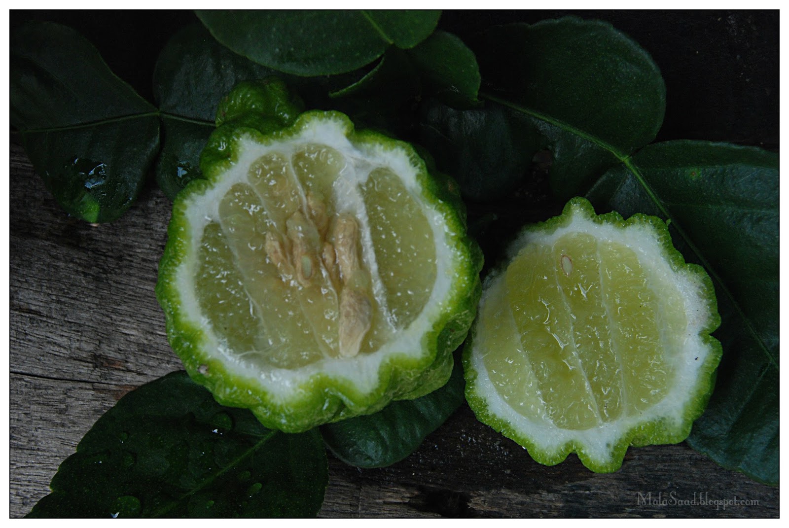 My Green Eye's Limau Purut Kaffir Lime