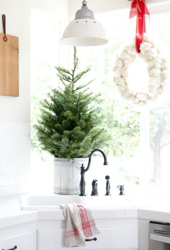 Beautiful small tree in a bucket on the countertop of Dustylu's kitchen.