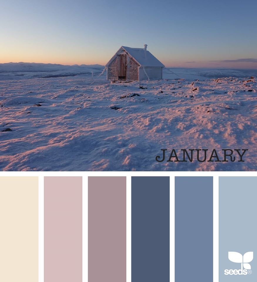Tando Creative: January colours