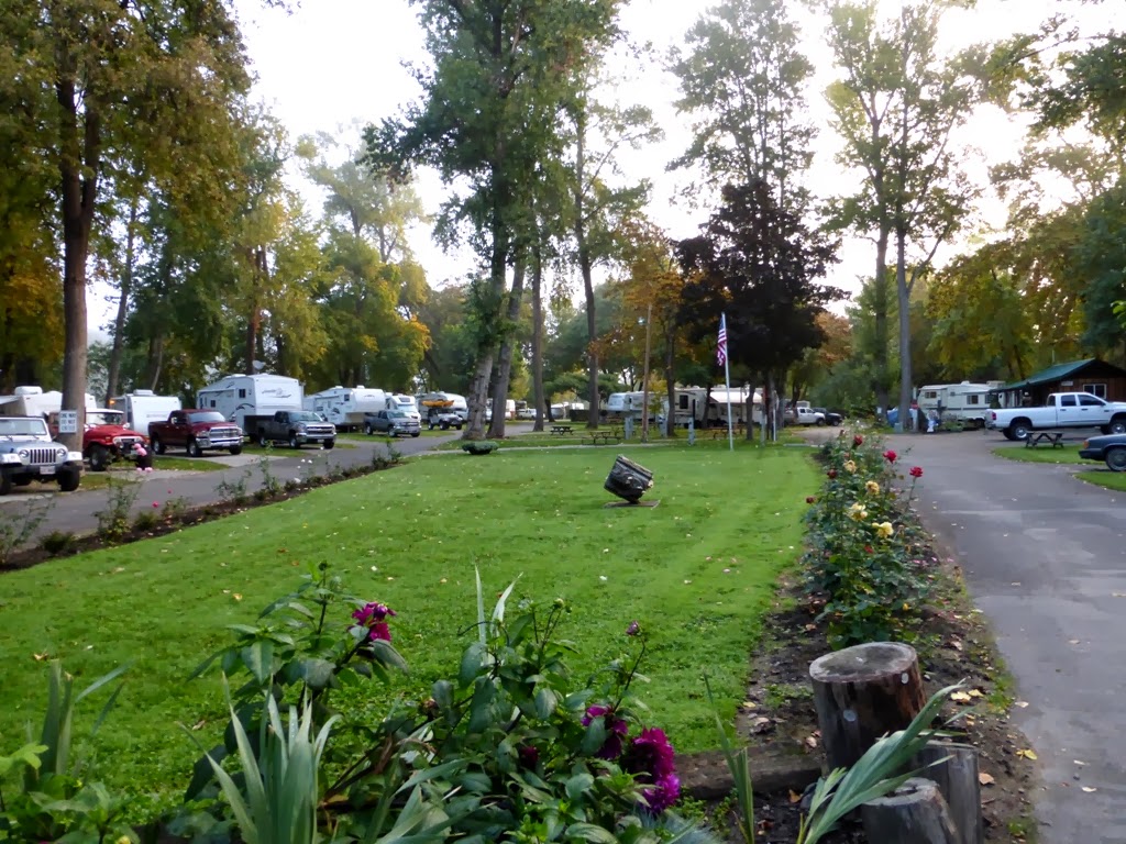 Metamorphosis Road Campground Review Riverpark RV Resort, Grants Pass, OR