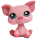 Littlest Pet Shop Tubes Pig (#876) Pet Littlest Pet Shop Tubes Pig (#876) Pet