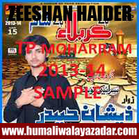 http://ishqehaider.blogspot.com/2013/07/zeeshan-haider-nohay-2014.html