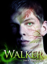 Walker - a shamanic novel for teens