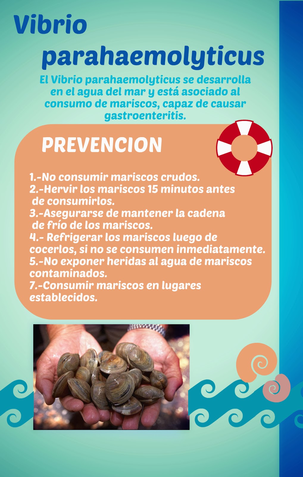 de donde proviene la bacteria vibrio cholerae de donde proviene la bacteria vibrio cholerae